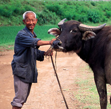 小型飼料顆粒機(jī),農(nóng)民圓夢！